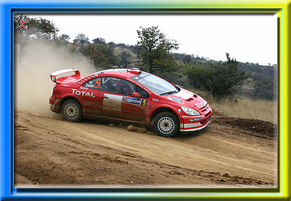 Peugeot 307 WRC - Año 2004