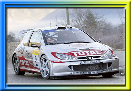 Peugeot 206 WRC - Año 2002