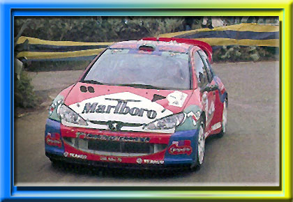 Peugeot 206 WRC - Año 2001