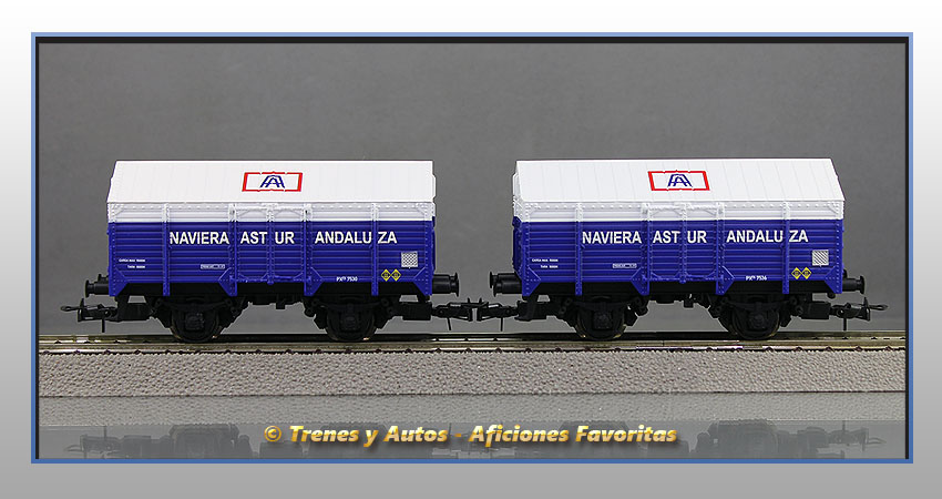 Set 2 vagones cubiertos PX "Naviera Astur Andaluza" - Renfe
