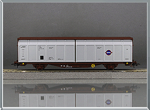 Vagón puertas deslizantes Tipo Hbis Transfesa - Renfe