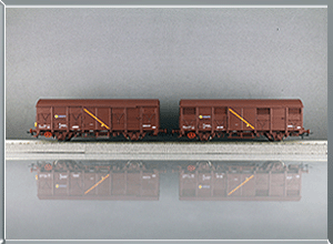 Set 2 vagones cerrados J2 - Renfe