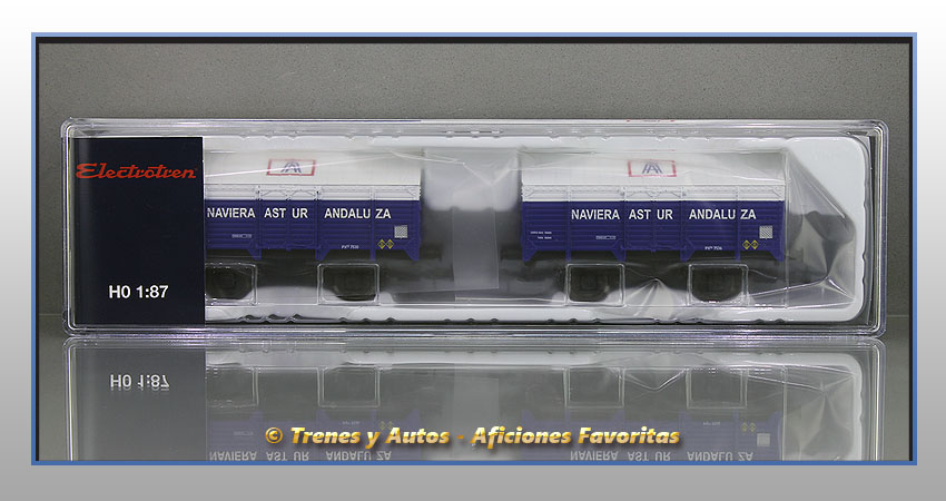 Set 2 vagones cubiertos PX "Naviera Astur Andaluza" - Renfe