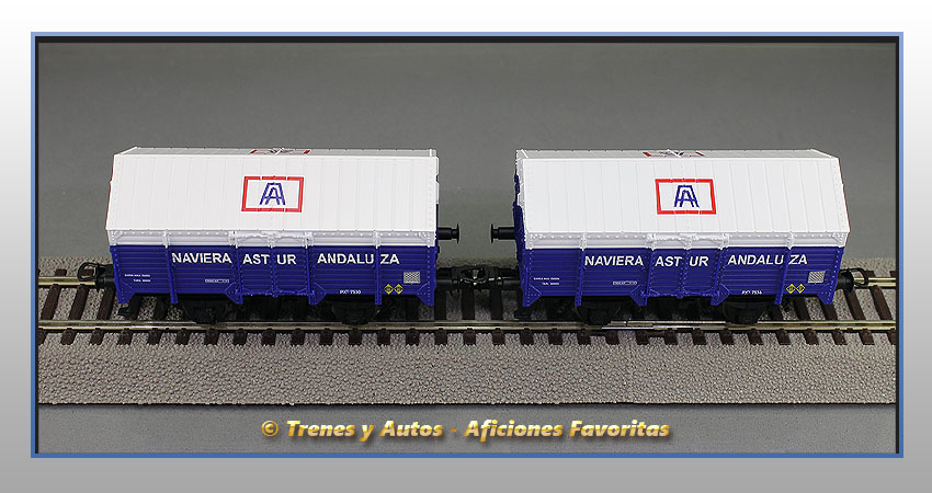 Set 2 vagones cubiertos PX "Naviera Astur Andaluza" - Renfe